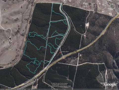 Lisdale State Forest in Google Earth
